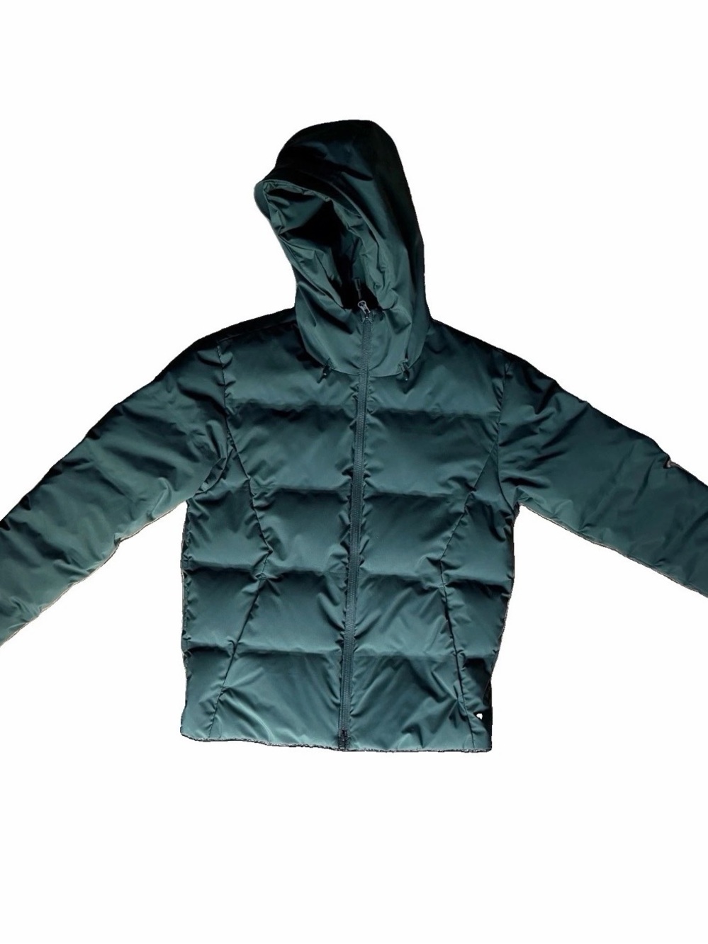 Patagonia Jackson Glacier Down Jacket Men’s Small Northern Green Brand New WOT